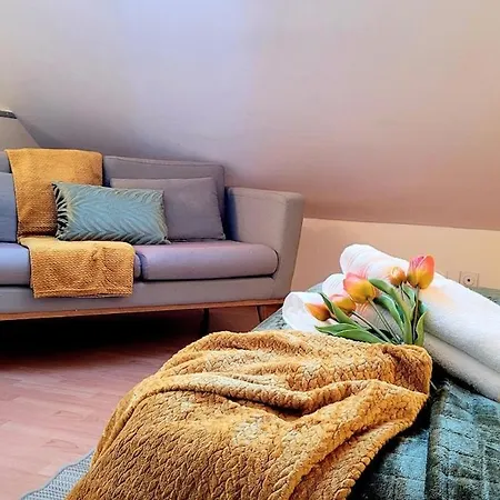 Le Duplex Du Moulin - Maison T2 Cosy Centre-ville Lejlighed *